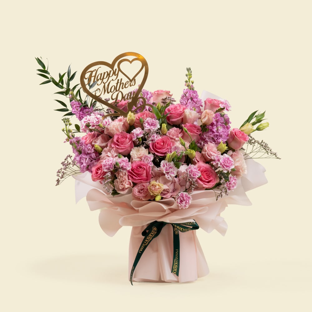 06 Mother’s Day Pink Roses & Carnations Bouquet – Plaza Hollandi