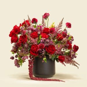 February Flower Guide in Qatar: Colours, Moods & Meanings 21 February Flower Guide in Qatar: Colours, Moods & Meanings