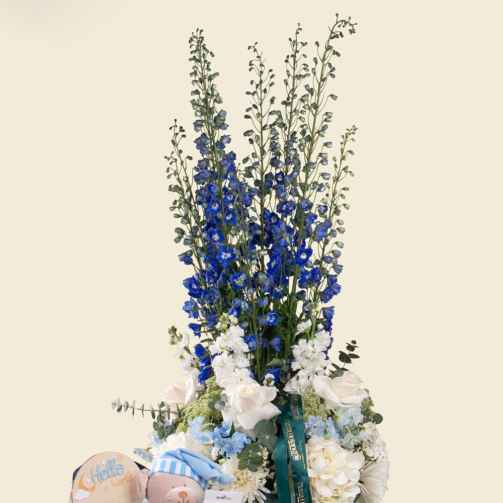 23.3 Premium Baby Boy Gift Hamper with Roses & Personalized Newborn Essentials