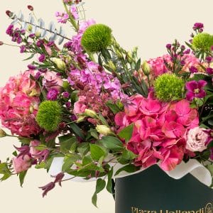 February Flower Guide in Qatar: Colours, Moods & Meanings 17 February Flower Guide in Qatar: Colours, Moods & Meanings