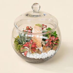 The Ultimate Guide to Summer Flowers 1 Enchanted Garden Glass Terrarium