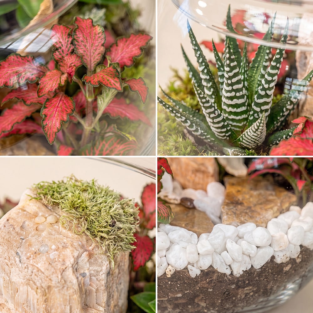 2.4 Enchanted Garden Glass Terrarium