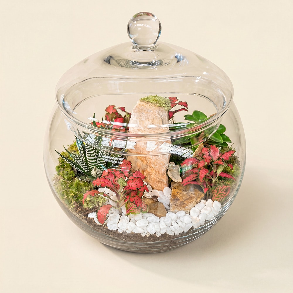 2 Enchanted Garden Glass Terrarium
